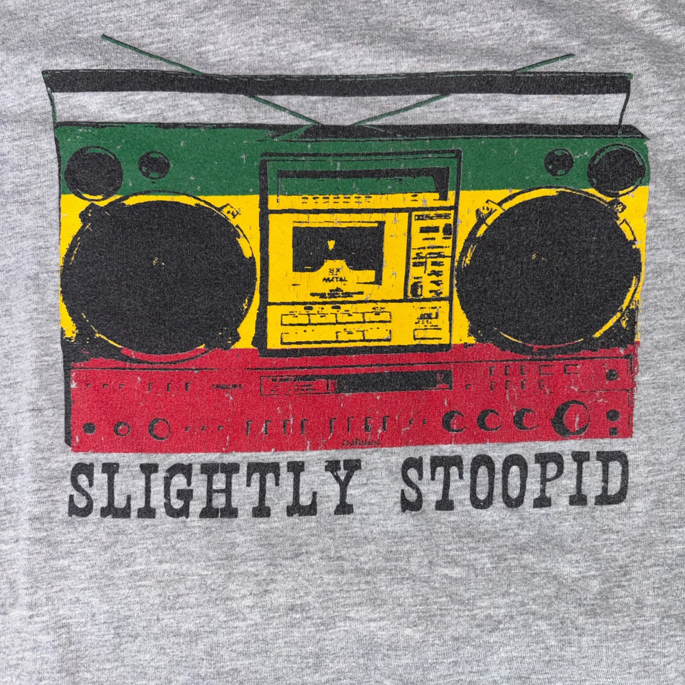 Slightly Stoopid Gray T Shirt Mens M Next Level Boombox Rasta Red Gold Green - Picture 2 of 9